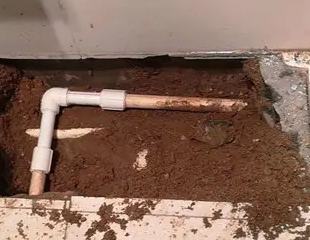 集安测漏水哪家好